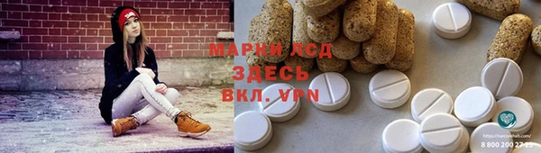 ПСИЛОЦИБИНОВЫЕ ГРИБЫ Богданович