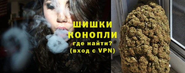 ПСИЛОЦИБИНОВЫЕ ГРИБЫ Богданович