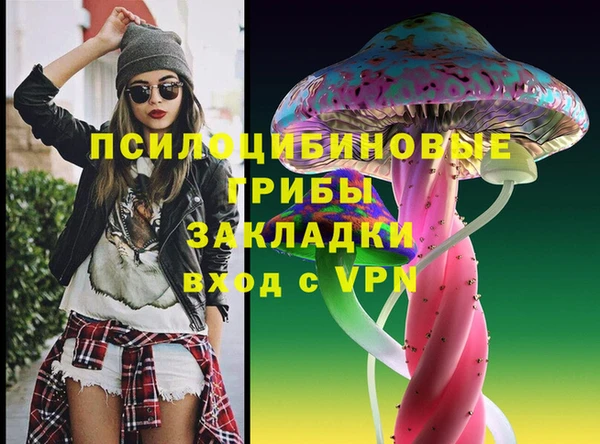 соль курить ск Богородск