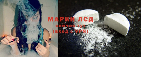 ПСИЛОЦИБИНОВЫЕ ГРИБЫ Богданович
