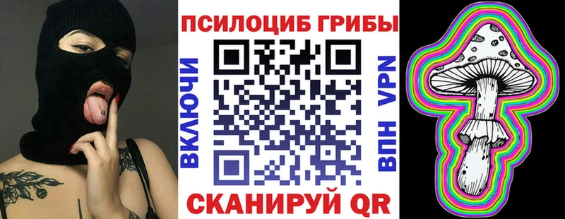 площадка клад  Строитель  Галлюциногенные грибы Psilocybe  купить наркотики сайты 